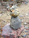 22.06.14 Wandergefährte am Surendorfer Strand